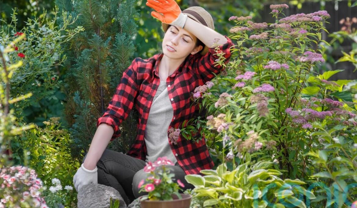 Time-saving tips for the busy gardener