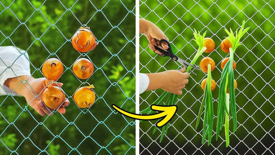 DIY Tool Hacks for Your Tiny Urban Garden
