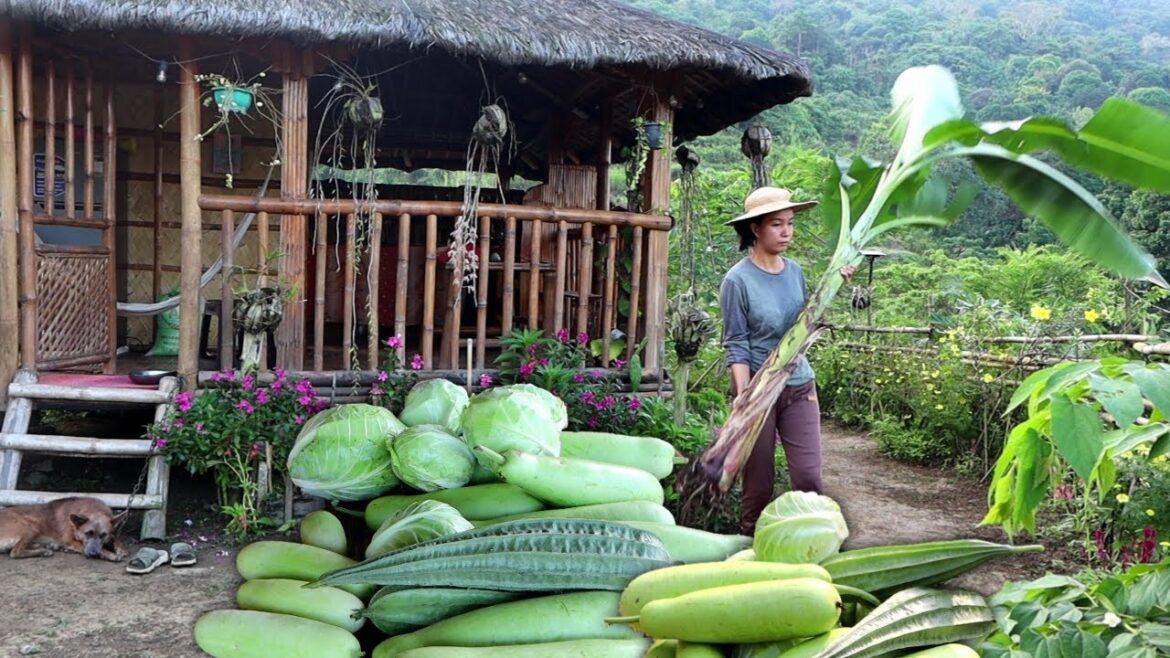 Harvest fresh vegetables, gardening, cooking | Filipino countryside