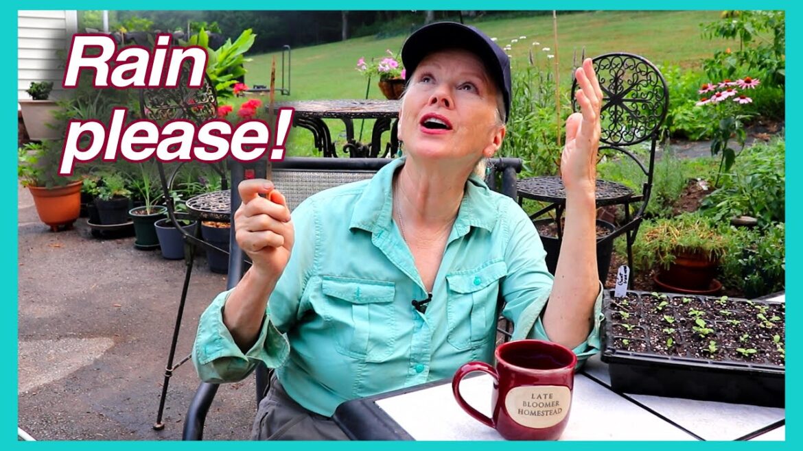 Something's Got to Go