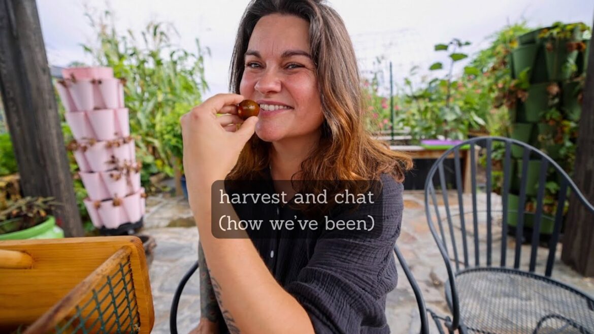 Harvest & Chat (How to be human) | VLOG