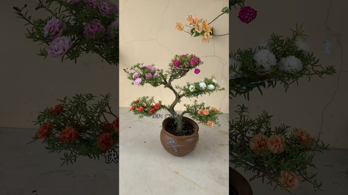 Creative planting ideas for home garden, #garden #shorts #plants