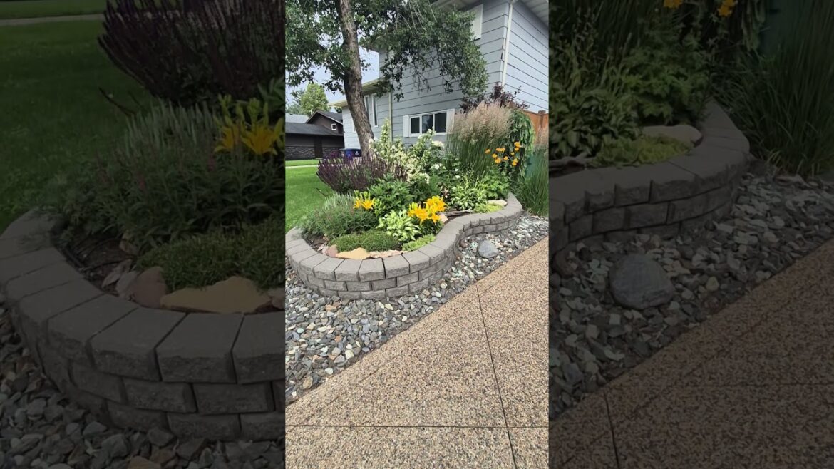 BEAUTIFUL DECORATED FRONT YARD LAWN,LANDSCAPING