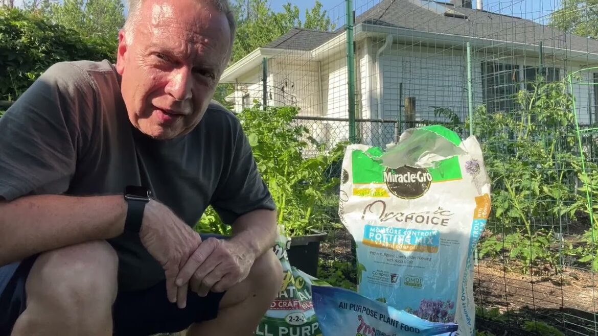 Container Gardening June 2025 Container Gardening June 2025