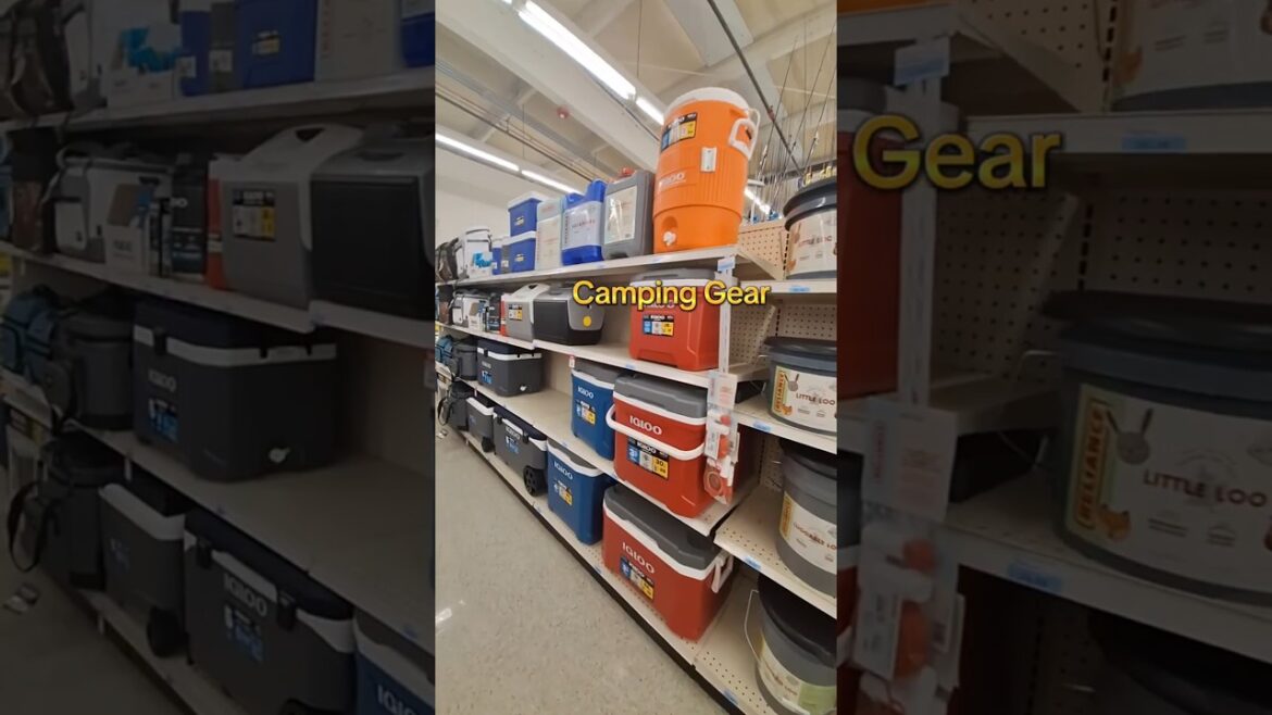 My Shopping Trip to Blair's Farm and Fleet!