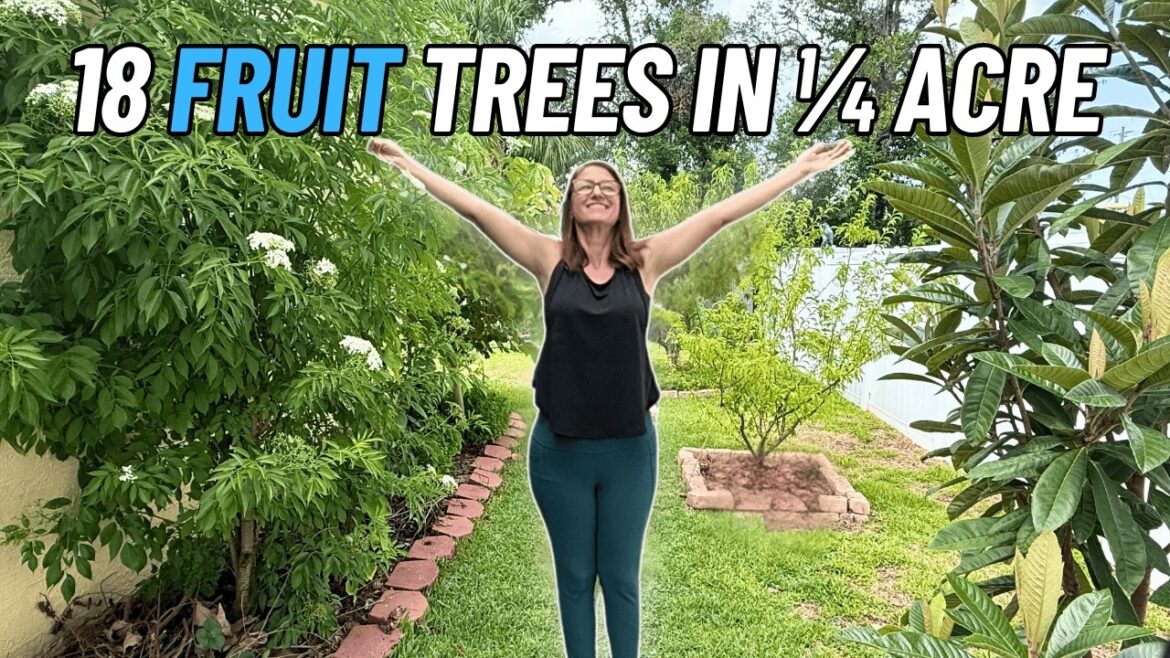 The Best & Worse Fruit Trees for a Small Backyard Garden