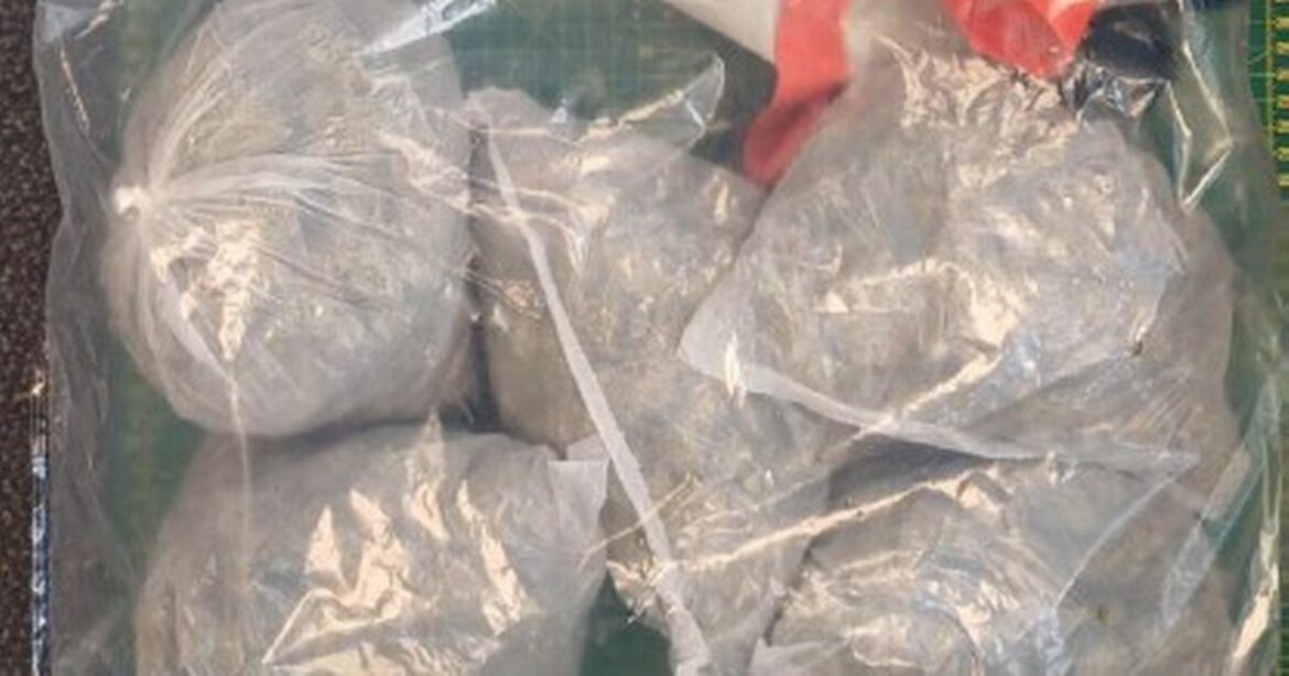 Schoolgirl, 13, and five others arrested after £20k cash found in garden Ipso logo