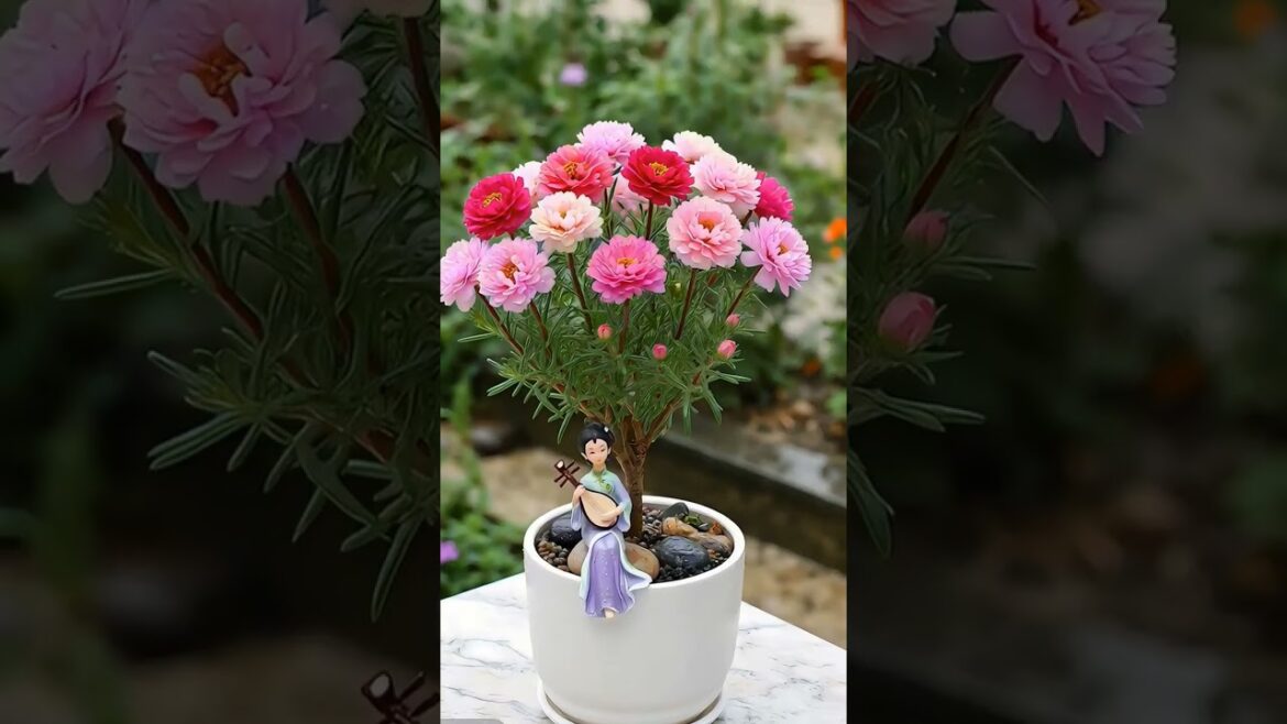 Beautiful rooftop gardening ideas  for home garden