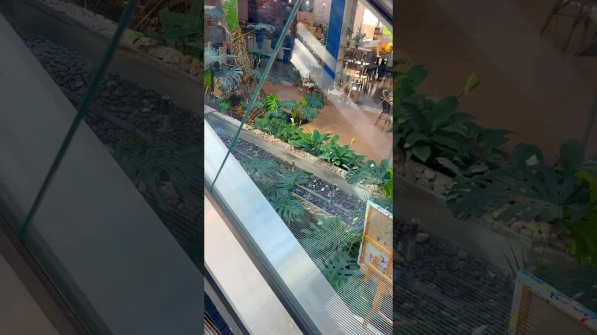 I went to buy supplies for the garden today #switzerland #srilankantamilvlog #travel