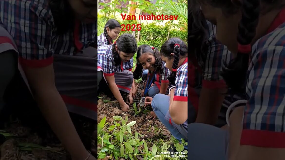 Van mahotsav in KV Boudh... #explore #vanlife #vanmahotsav #trends #ytshorts #environmentalawareness