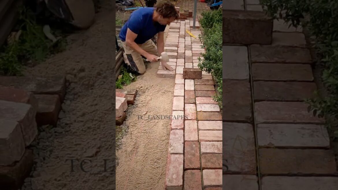 Paving with mixed bricks #brickpaving #diy #landscaping Paving with mixed bricks #brickpaving #diy #landscaping