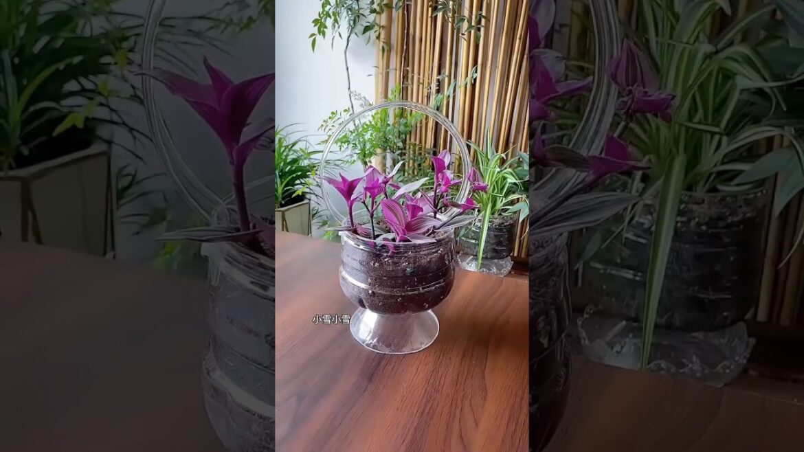 home decorating ideas, #gardening #shorts #ideas #diy #craft