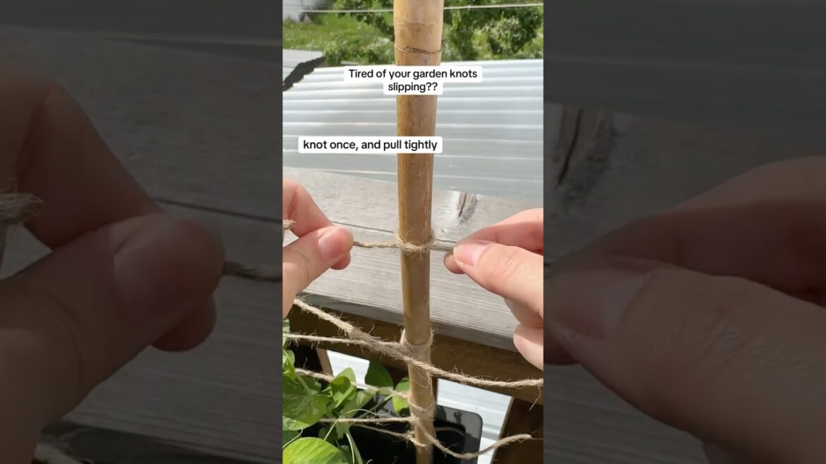A knot every gardener should know!!  #music #planting #gardeningtips #garden #knots #tips #planter A knot every gardener should know!!  #music #planting #gardeningtips #garden #knots #tips #planter