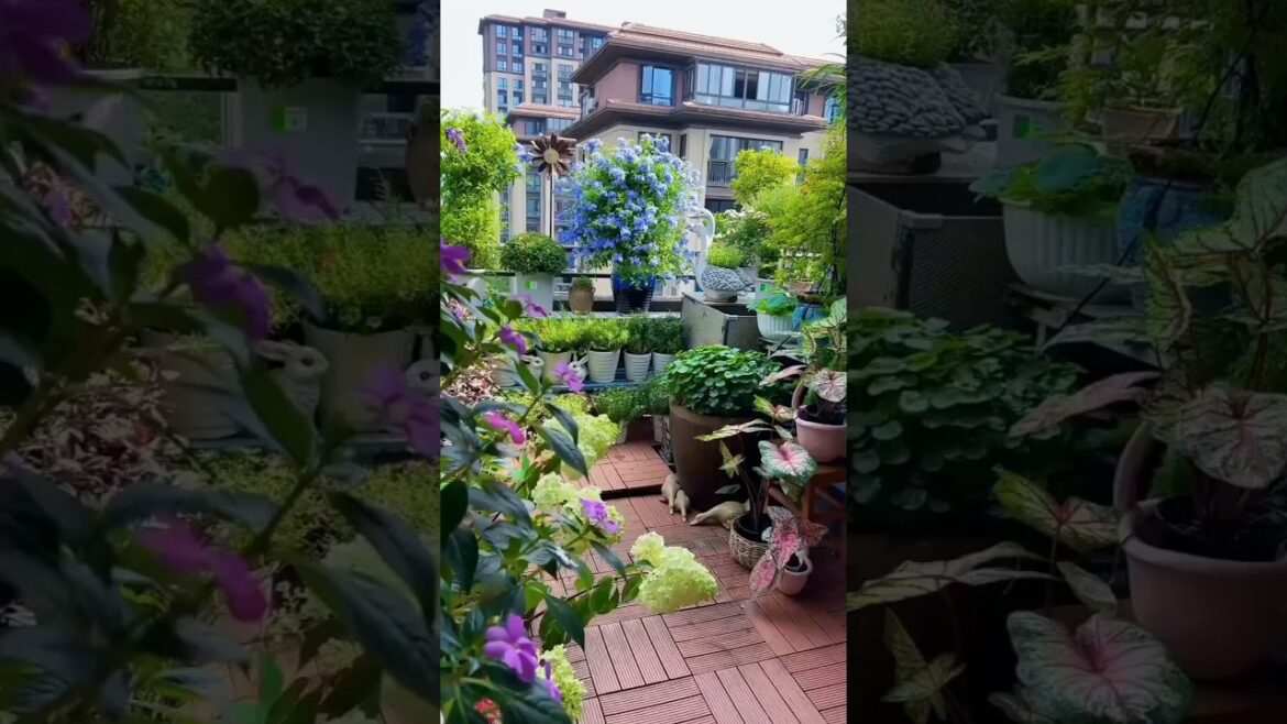 Outdoor Oasis on a Budget 🌴💰#gardening #nature #flower #photography #homedecor #asmr #plants #oasis