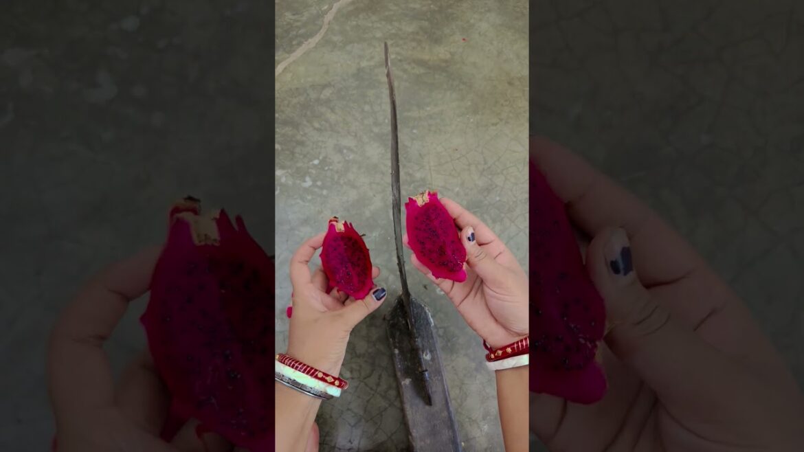 Enna Solla #gardening #youtubeshorts #UpdateGardening #garden #youtubeshort #flowers #rose