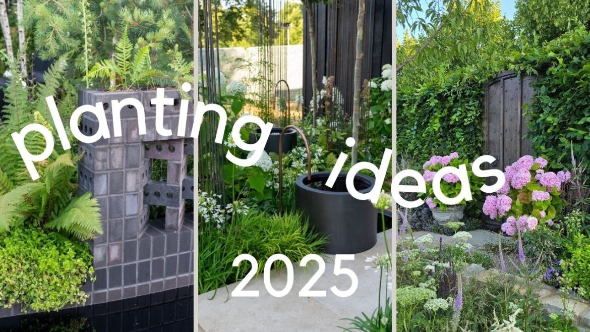 5 Garden Ideas You Need to Try: What's New at RHS Hampton Court 2025...
