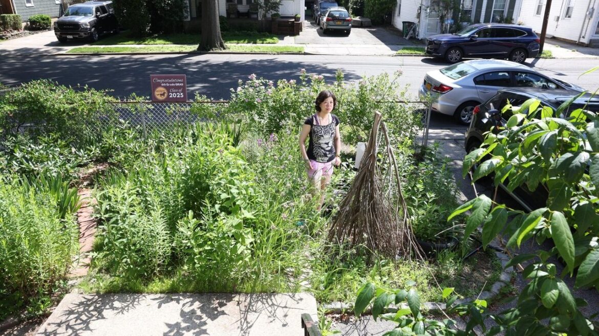 Native gardens bloom despite cultural and social hurdles Native gardens bloom despite cultural and social hurdles