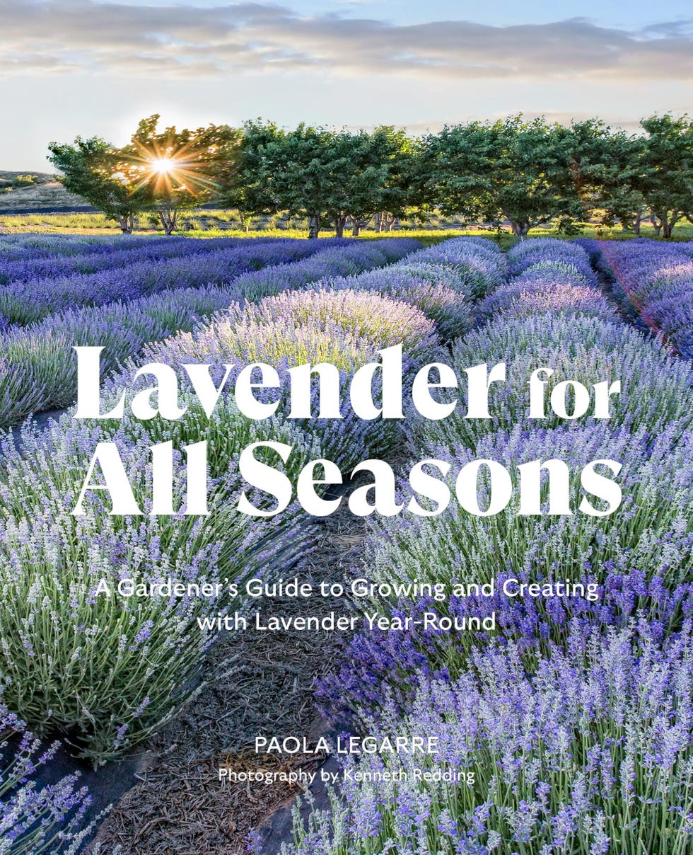 Lavender for All Seasons: A Gardener's Guide to Growing and Creating with Lavender Year-Round Lavender for All Seasons: A Gardener's Guide to Growing and Creating with Lavender Year-Round
