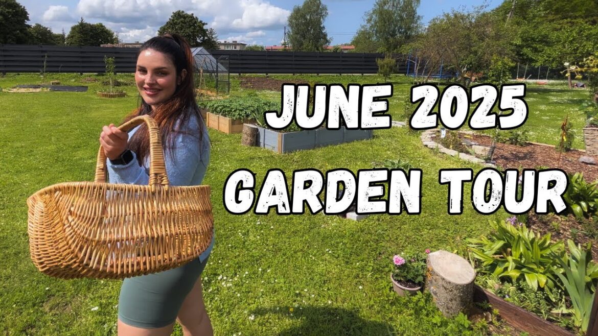 What‘s growing in my Zone 5a backyard garden in June? | Full June 2025 garden tour 🌷☀️ What‘s growing in my Zone 5a backyard garden in June? | Full June 2025 garden tour 🌷☀️