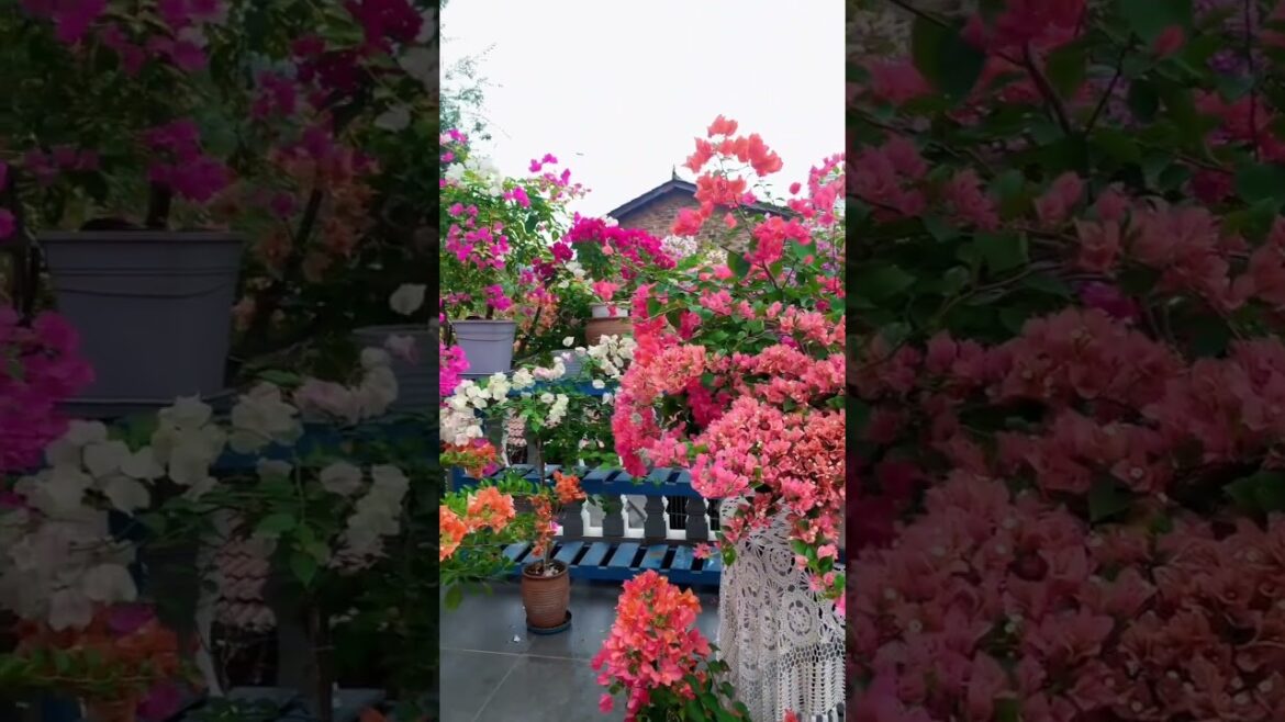 Make Your Garden Shine 🌟💡 #gardeningideas #garden #makeyourgardenshine #oasis #asmr #diy #satisfying