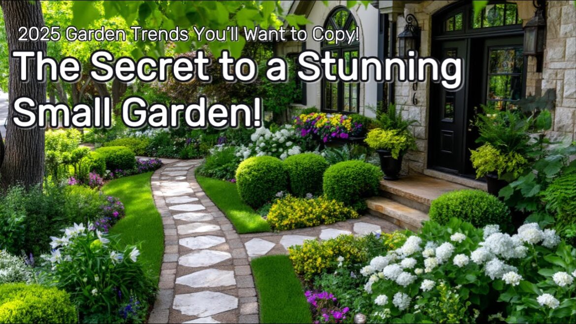 Small Garden Ideas for 2025: How to Maximize Your Space with Beautiful Plants Small Garden Ideas for 2025: How to Maximize Your Space with Beautiful Plants