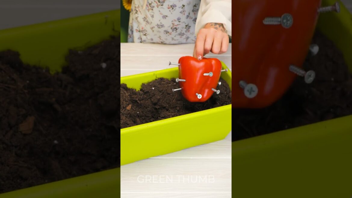 Must-Know Secrets for a Thriving Garden 🌼