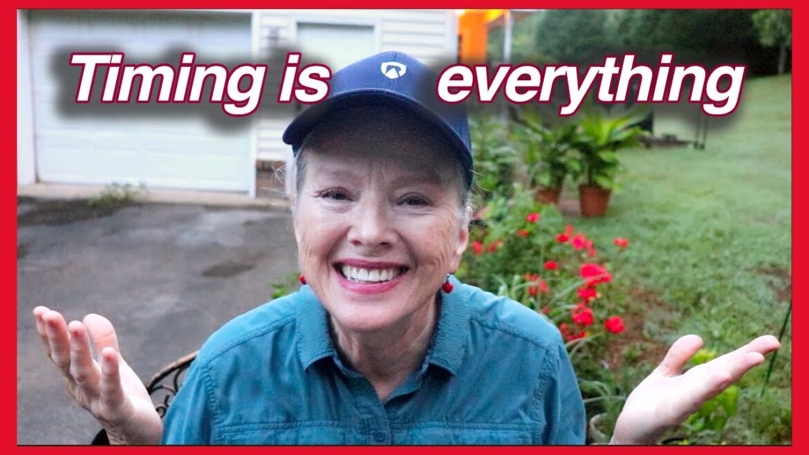 How is the THREE SISTERS METHOD working? July garden update Part 1