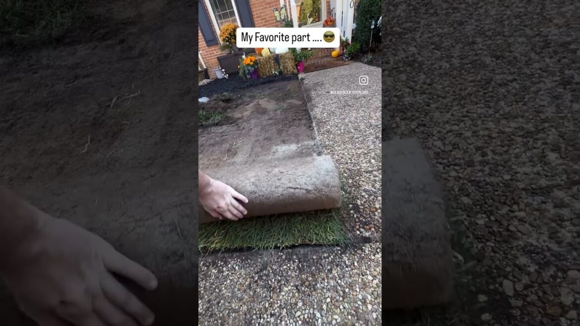 We Gave Our House A Front Yard Makeover