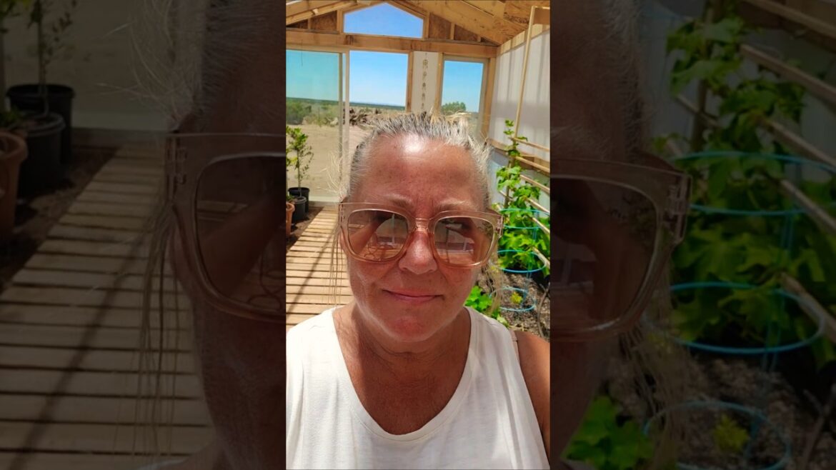 New Chapter at the Ranchette! Family Moves In & Medicinal Garden Plans Begin #offgrid #smallranch