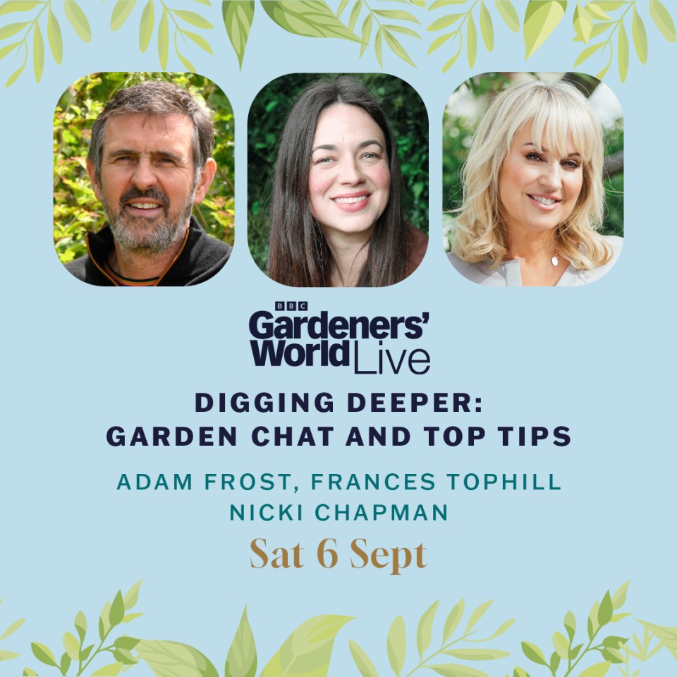 Illustration of Adam Frost, Frances Tophill, and Nicki Chapman promoting a gardening event.