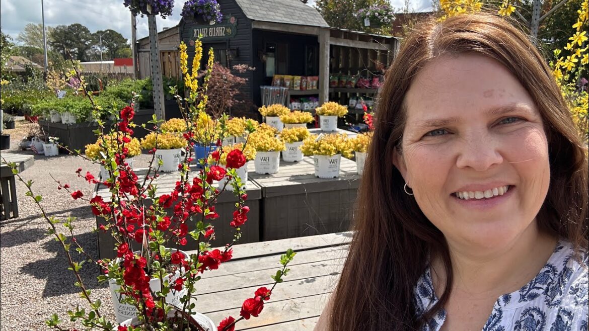 Instagram Famous McDonald’s Garden Center! Instagram Famous McDonald’s Garden Center!