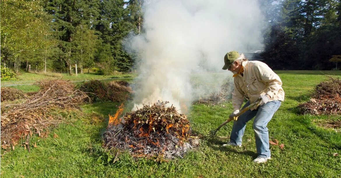 UK households warned over £5000 fine for crucial garden error this summer Ipso logo