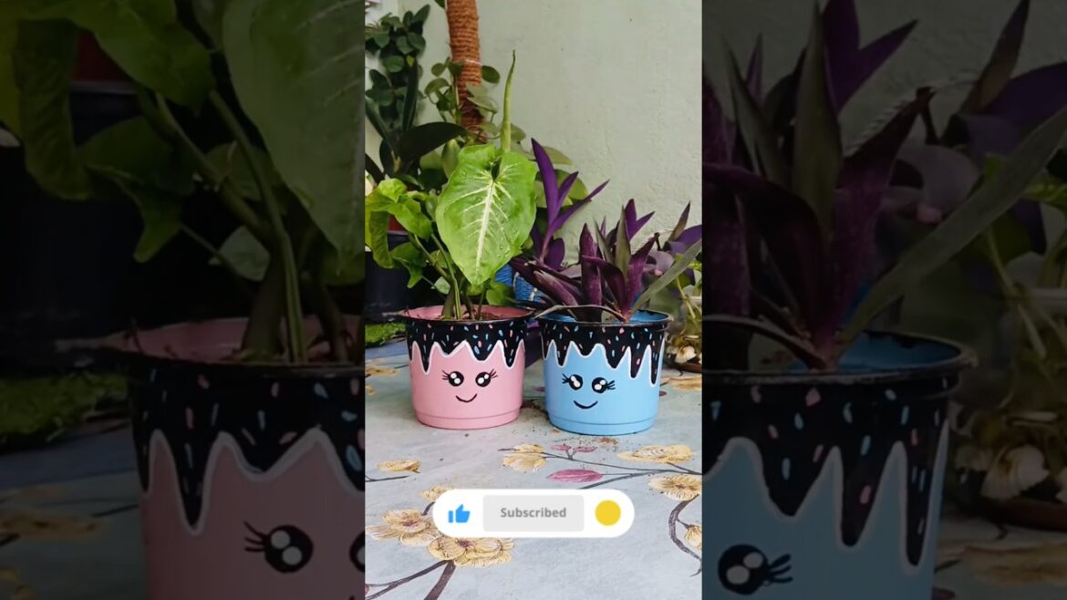 DIY Cute Planter from Food Container#diy#shorts#yt#cute#pinterest#aesthetic#garden#plants#decor#love DIY Cute Planter from Food Container#diy#shorts#yt#cute#pinterest#aesthetic#garden#plants#decor#love