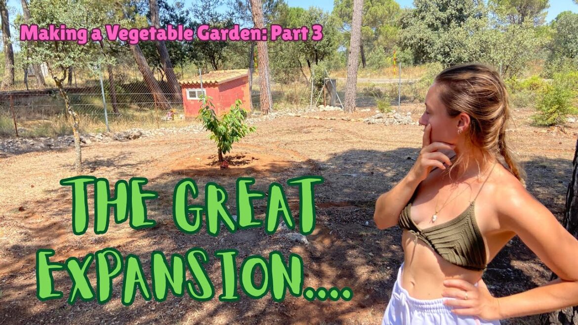 PLANS TO EXPAND?? Vegetable Garden – Part 3 PLANS TO EXPAND?? Vegetable Garden - Part 3