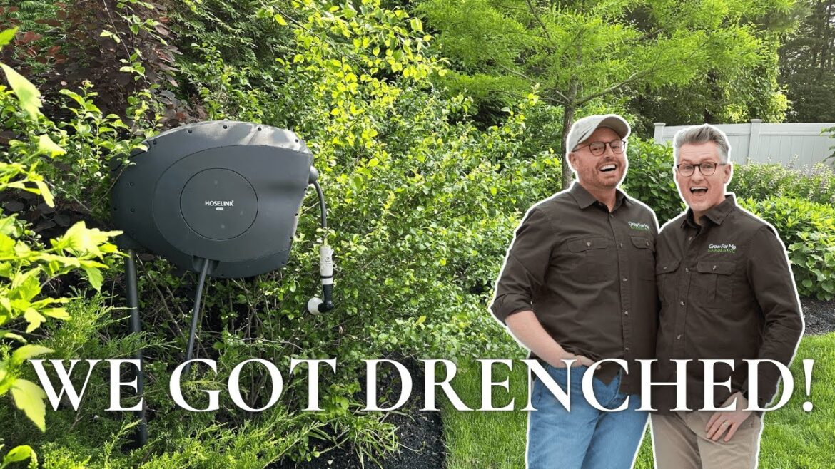 Our New Favorite Feature on the Berm (+ Why It’s a Game-Changer)