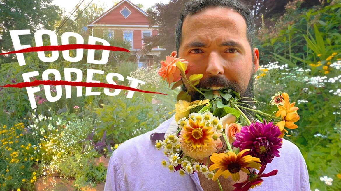 Siloé Oliveira: Why I abandoned my FOOD FOREST Why I abandoned my FOOD FOREST