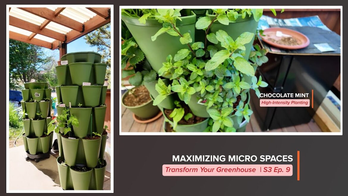 Maximizing Micro Spaces | The Ultimate Guide to Growing Tomatoes, Peppers, and More | S3 Ep. 9 Maximizing Micro Spaces | The Ultimate Guide to Growing Tomatoes, Peppers, and More | S3 Ep. 9