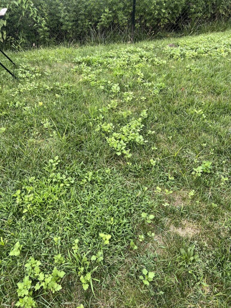 Those of you struggling, you are not alone. Keep up. 6a