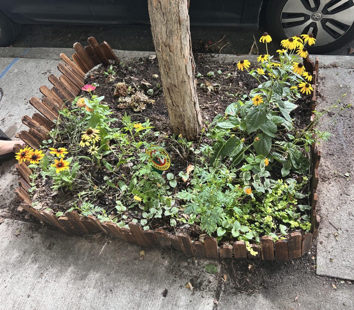 Help create a better barrier from garbage around this tree