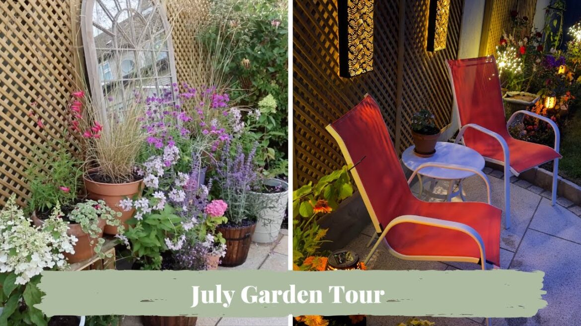 My July Garden Tour  | A New Beginning in the Cottage Garden