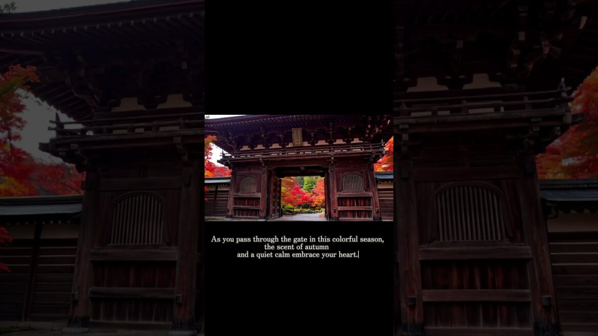 [Hidden Gem in Kyoto] Stunning Autumn Leaves at Nanzen-ji Temple | Serenity in a Sacred Place