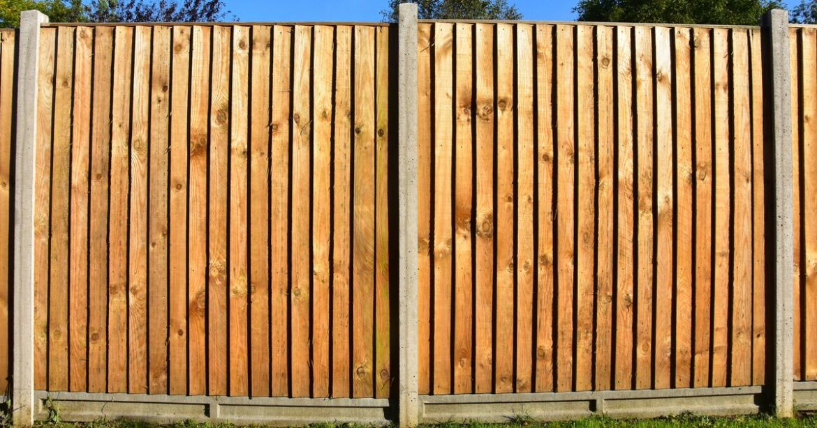 Gardeners advised to cut holes in fences this summer to help one animal The Daily Record