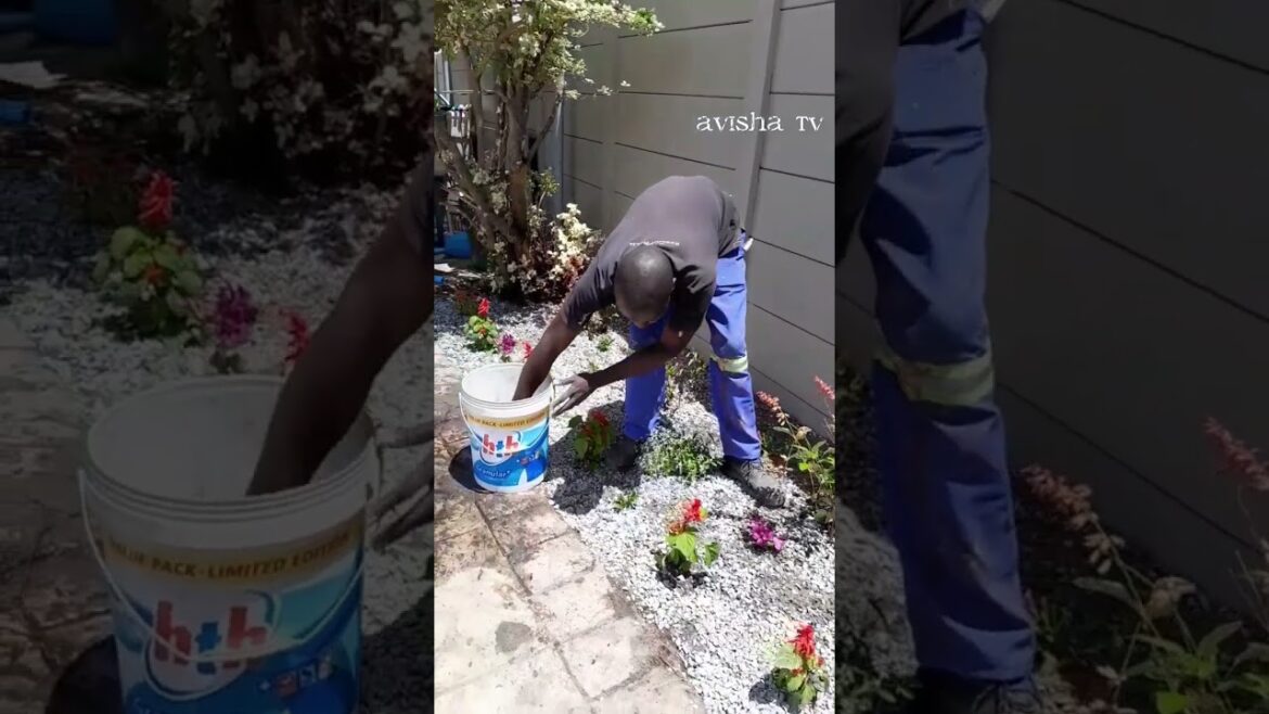 Landscaping and garden design  #landscape #gardendesign #home