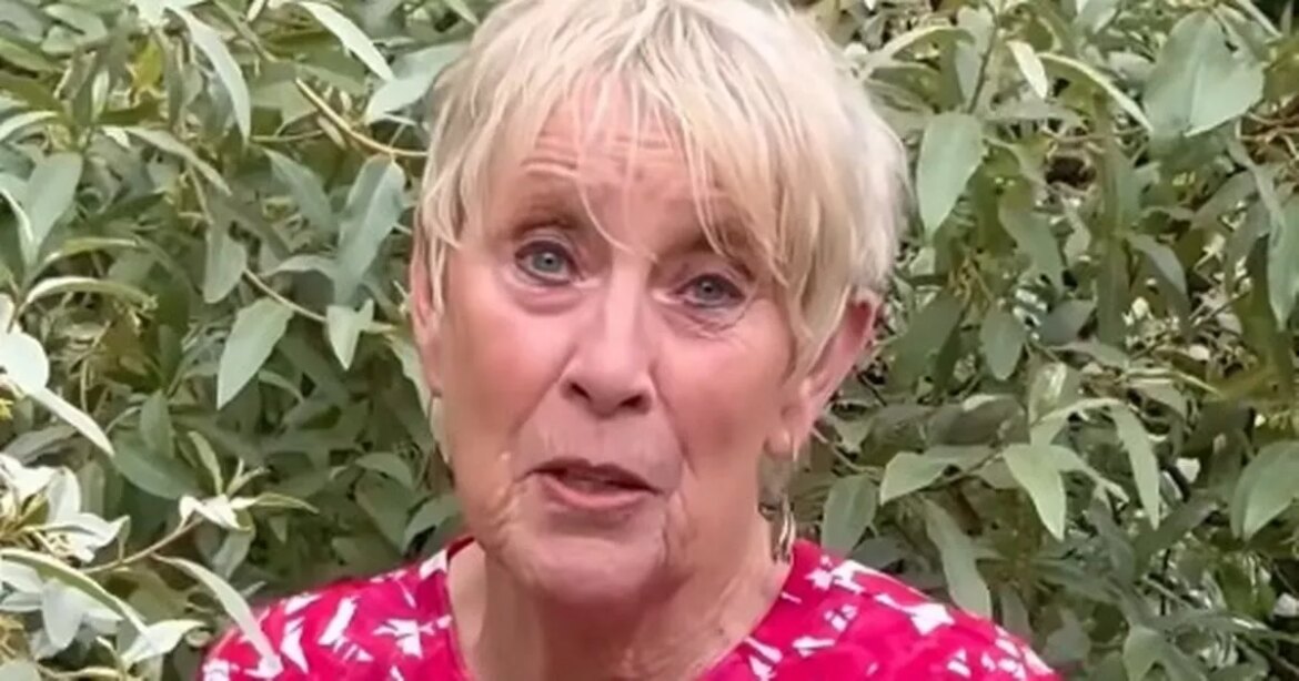 BBC Gardeners’ World’s Carol Klein offers essential ivy advice and debunks one myth Ipso logo