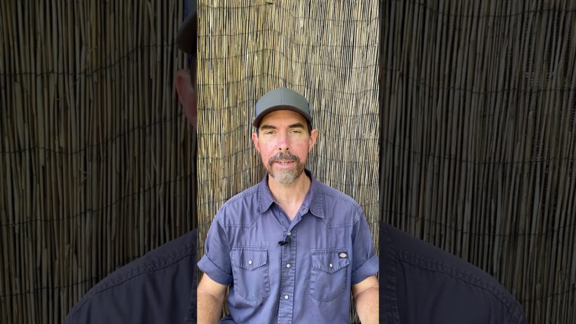 New Olympic Sport: Growing Food In August