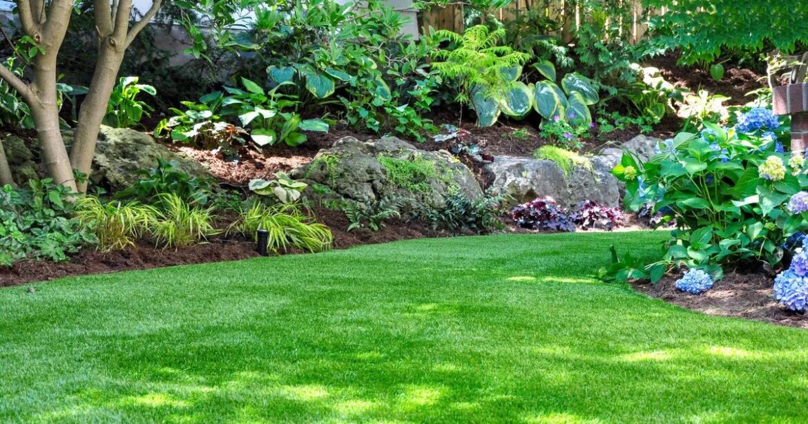 Lawns will be greener and turn thick ‘fast’ if 3 easy 5-minute tasks are completed Ipso logo