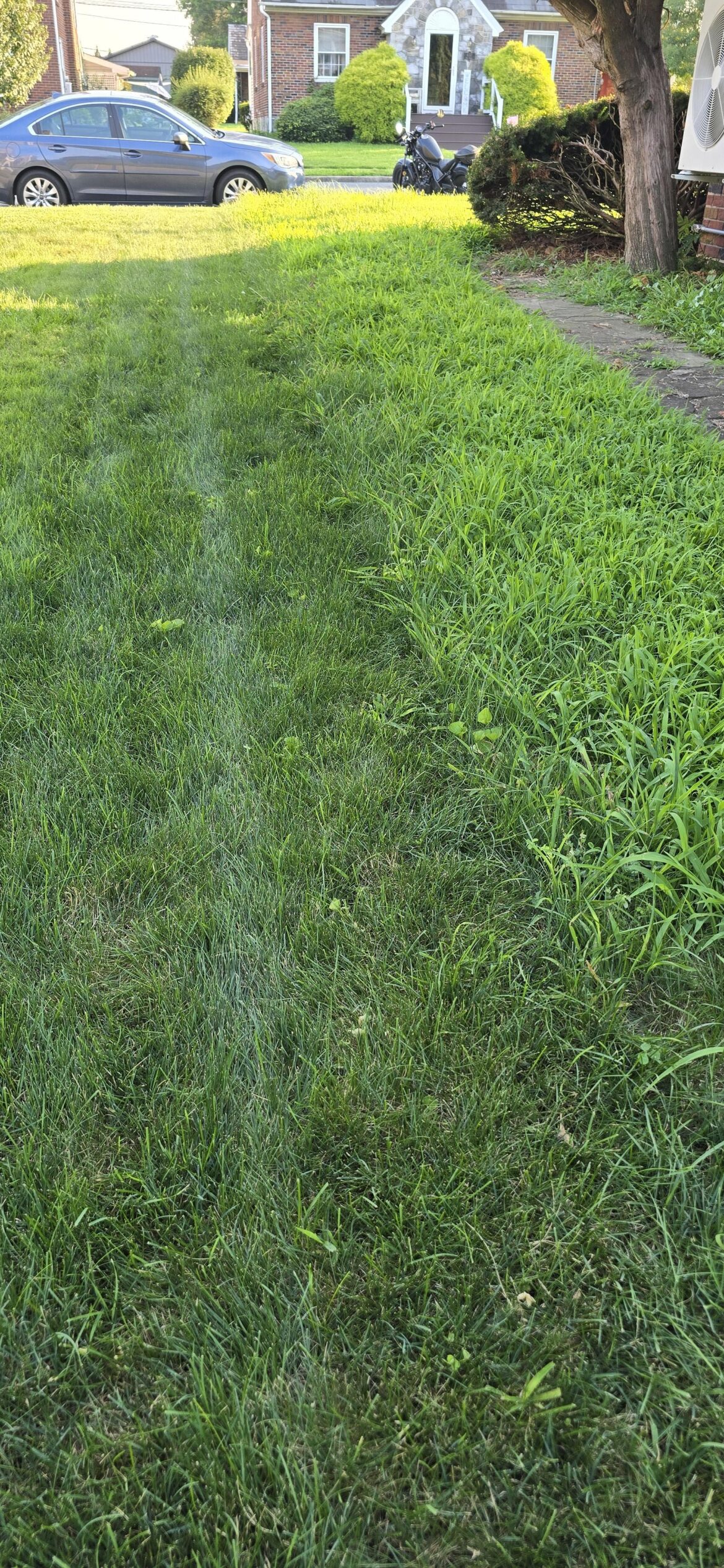 For those with neighbors who have a full crabgrass lawn...