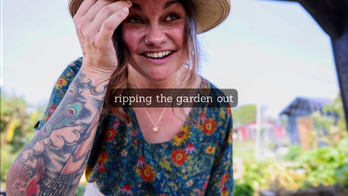 Rip it OUT (making way for garden improvements) | VLOG