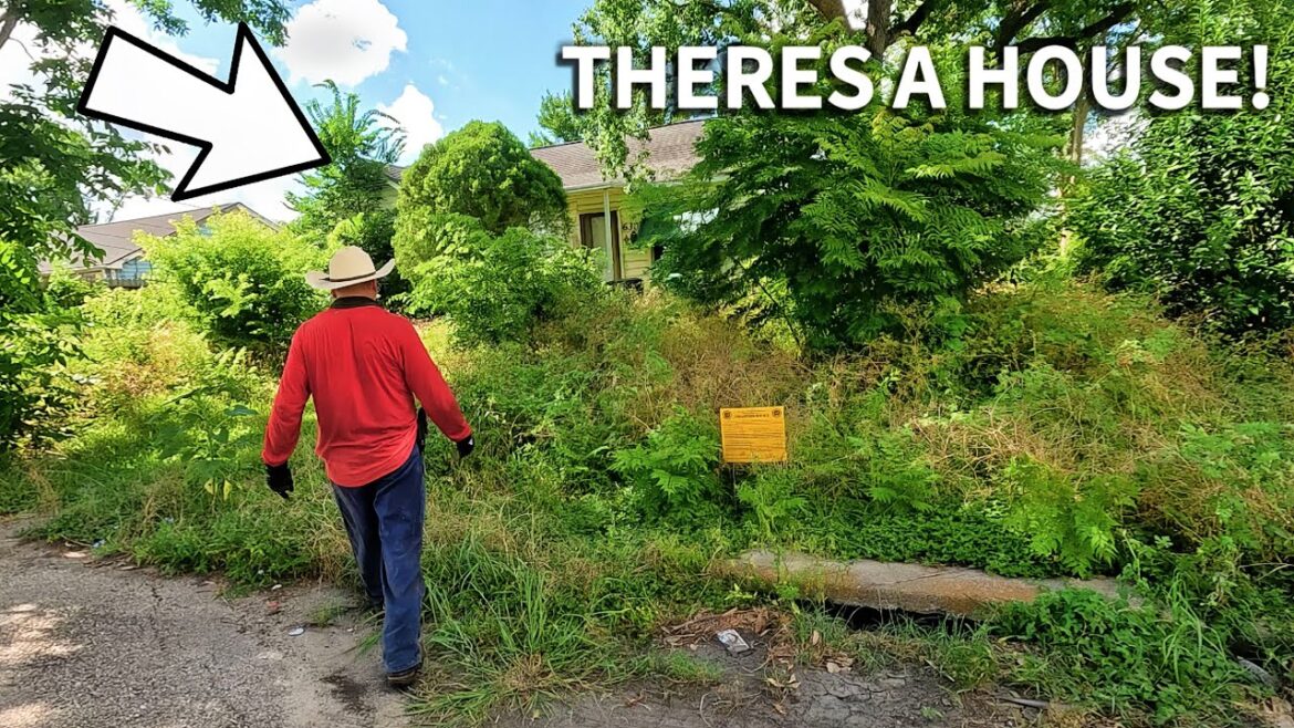 FORGOTTEN House and Sidewalk Discovered Behind YEARS of Overgrowth! FORGOTTEN House and Sidewalk Discovered Behind YEARS of Overgrowth!