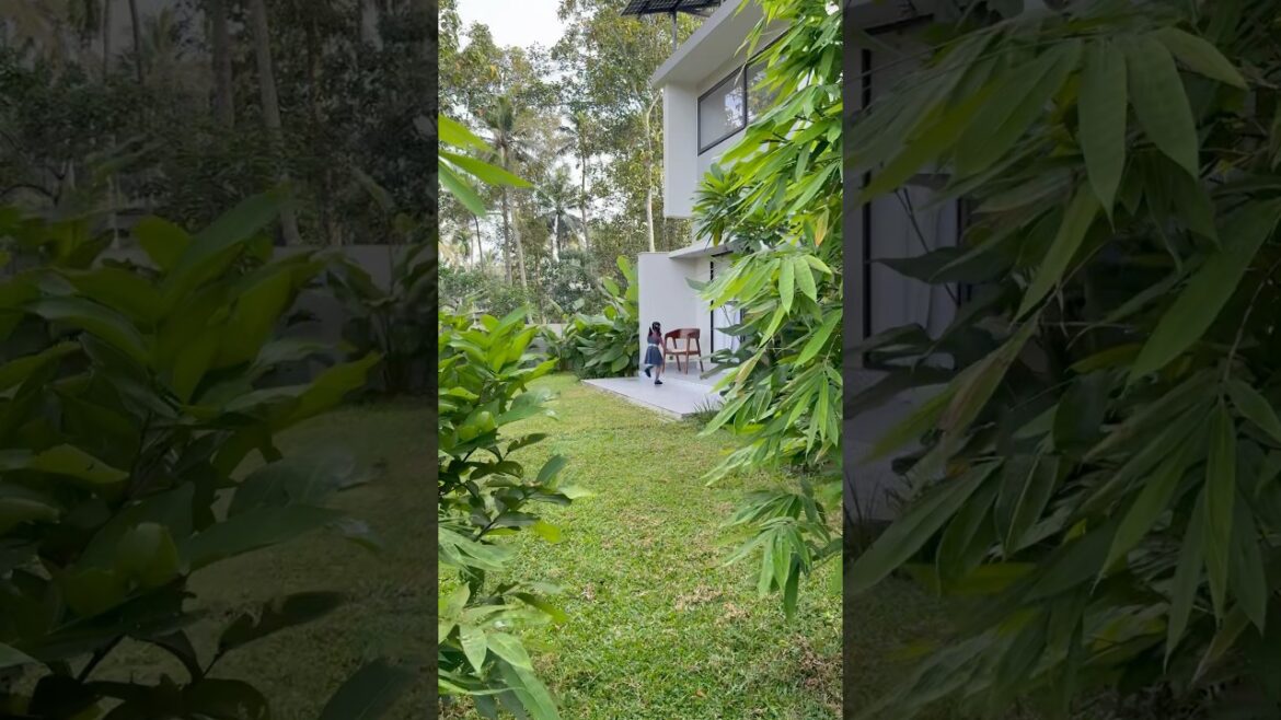 Patio design by Studio Connect | Tropical side yard design